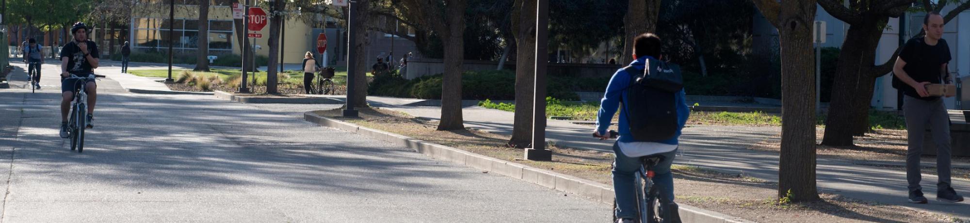 Students Riding Bikes