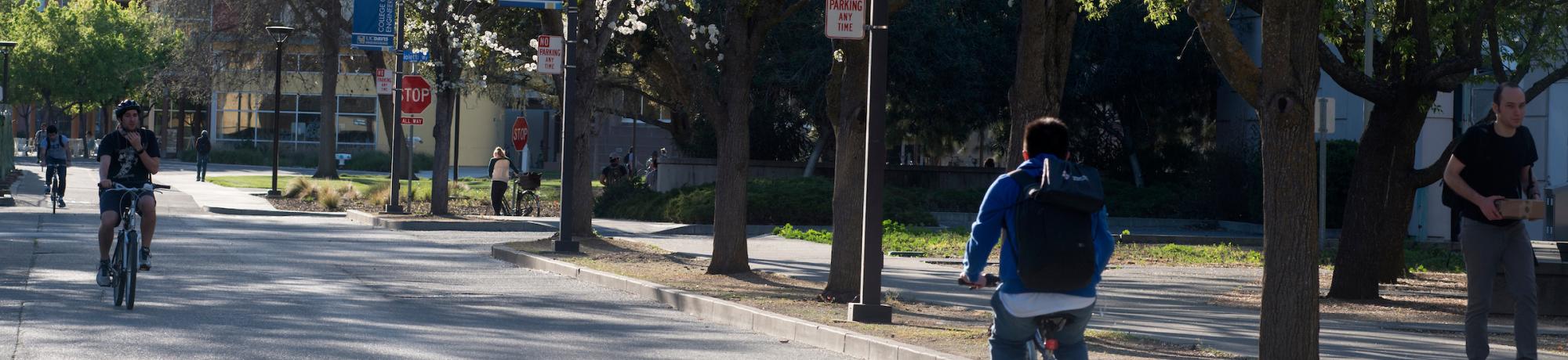 Students Riding Bikes