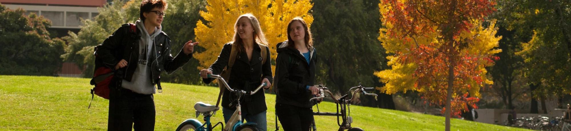 Students Walking on Campus