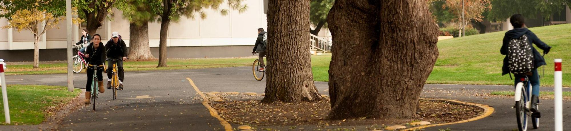 Students Riding on a Bike Pathway