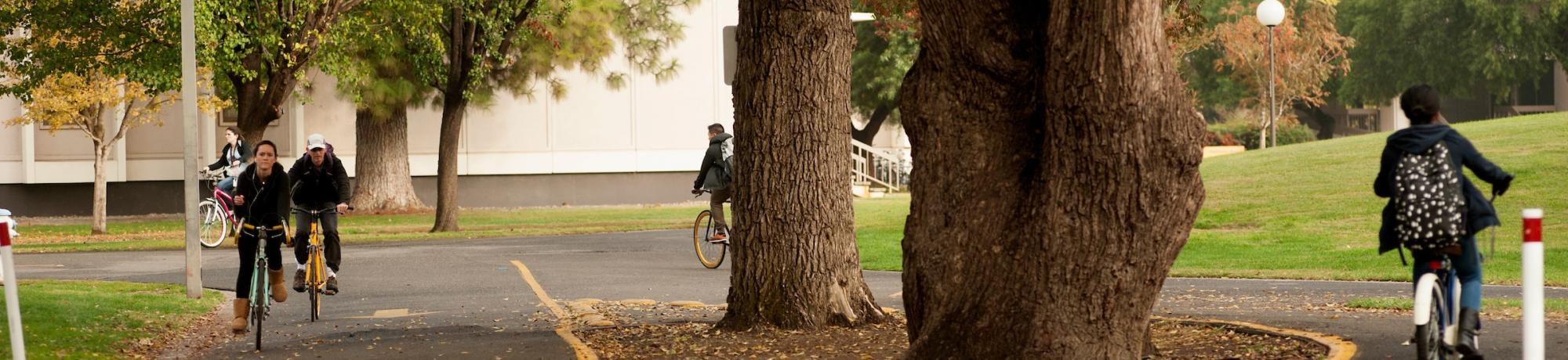 Students Riding on a Bike Pathway
